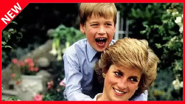 ✅  Le prince William marche dans les pas de Diana : cette visite émouvante