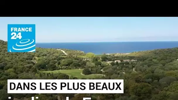 Dans les plus beaux jardins de France • FRANCE 24