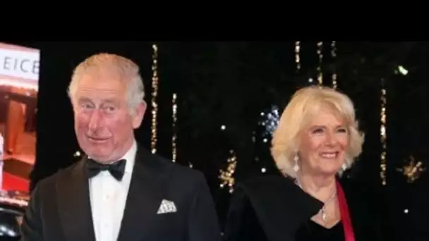 Prince Charles et Camilla Parker-Bowles : l’homme qui affirme être leur fils s’en...