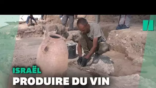 En Israël, découverte d'une usine à vin vielle de 1500 ans