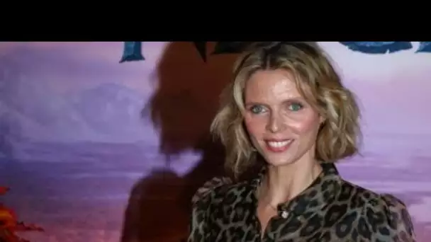 Sylvie Tellier prête à démissionner de la Société Miss France ? La directrice...