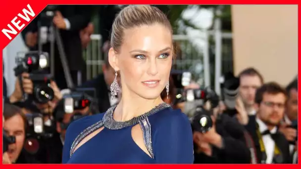 ✅  Bar Refaeli condamnée pour fraude fiscale : sa mère ira en prison