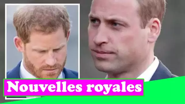 Le retour du prince Harry au Royaume-Uni déclenche une « urgence » au palais – le prince William est