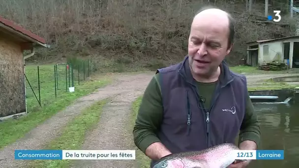 Noël
 : La truite s'invite à table