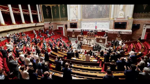 "Ça me touche dans mon honneur" : Les députés LREM agacés après le "couac" sur le congé après la…