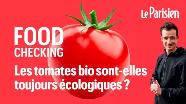 Les tomates bio sont-elles toujours écolo ?