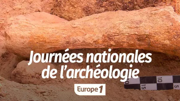 Journées nationales de l'archéologie : "On découvre de nouvelles espèces humaines presque tous le…