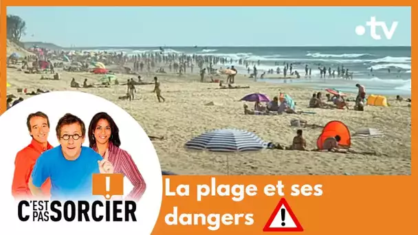 La plage et ses dangers - C'est pas sorcier [Intégrale]