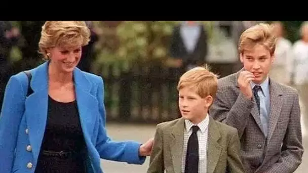 Diana "aurait aidé les princes à faire la paix", dit un ancien garde du corps