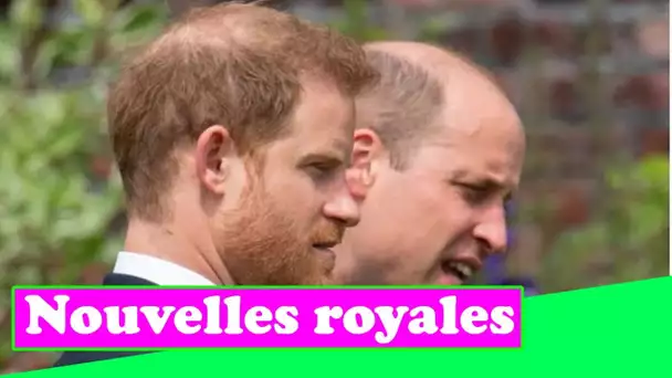 Le prince Harry fait preuve d'une solidité fraternelle avec le commentaire "Nous irons bien" lors du