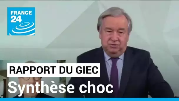 Rapport du Giec : la synthèse choc de l'urgence climatique • FRANCE 24