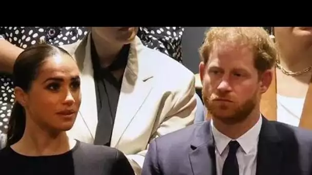 Le passé de Meghan et Harry "distrait" de leur travail caritatif "Ce n'est pas beau"