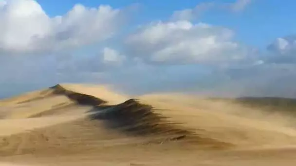 Le vent et le froid ont créé un paysage sublime sur la dune du Pilat