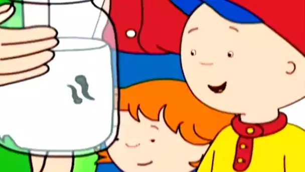 Caillou et le bébé poisson | Caillou en Français