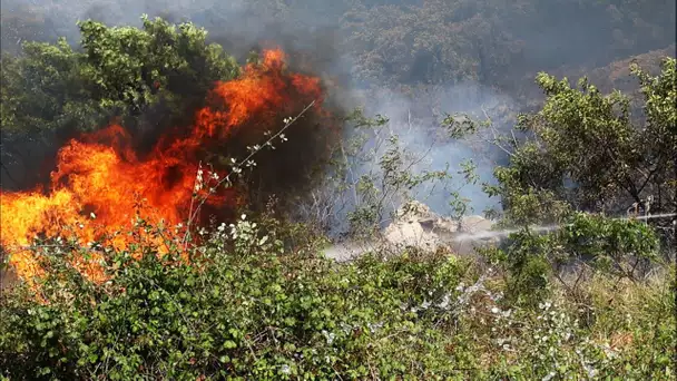 «J'ai dû sauter du balcon» : à Palerme, en Sicile, les habitants encerclés par les incendies