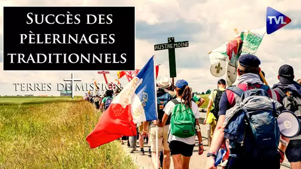 Succès des pèlerinages traditionnels - Terres de Mission n°385 - TVL