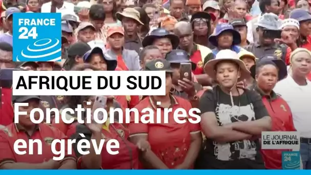 Afrique du Sud : des fonctionnaires en grève pour une augmentation de salaire • FRANCE 24