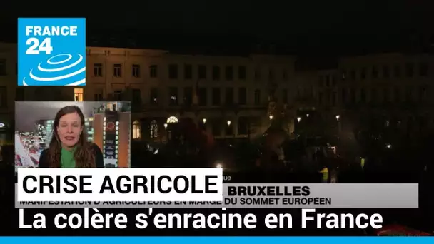 Malgré les annonces, la crise agricole s'enracine en France avant un sommet européen • FRANCE 24