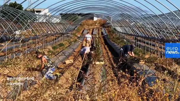 Espagne : des travailleurs migrants dénoncent leurs conditions de travail