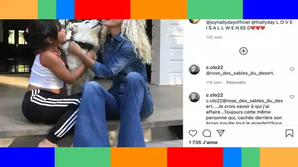 Laeticia Hallyday s'occupe-t-elle toujours de la chienne de Johnny Cheyenne ?