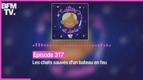 Episode 317 : Les chats sauvés d'un bateau en feu - Les dents et dodo