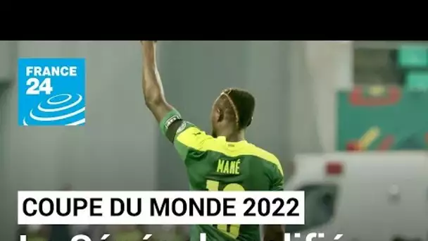 Mondial-2022 : le Sénégal élimine l'Égypte au bout du suspense et dans une ambiance survoltée