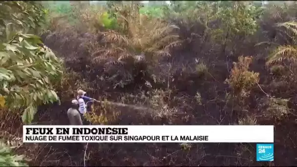 Indonésie : nuage de fumée toxique sur Singapour et la Malaisie