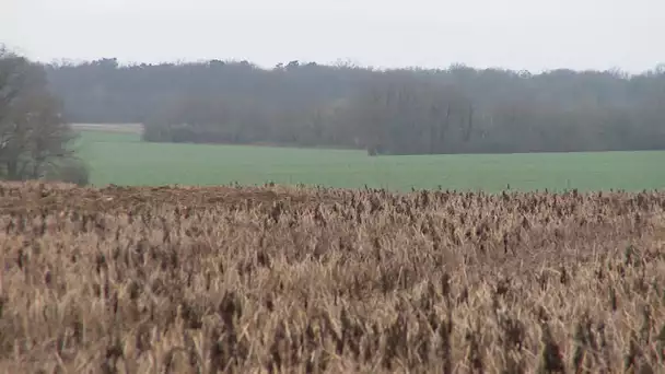 Les agriculteurs contre le projet d'autoroute A147 Poitiers/Limoges