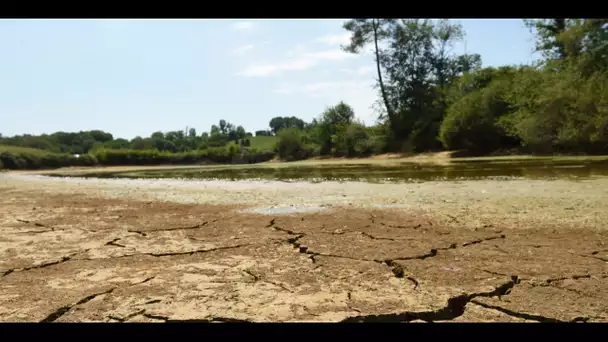 Sécheresse : malgré des sols secs, est-il possible de conserver efficacement l'eau pour l'été ?