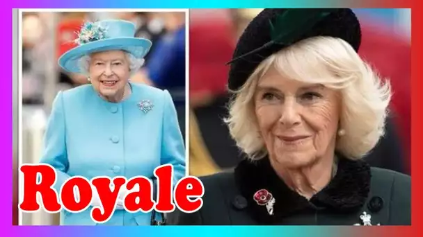 Pourquoi Camilla ne sera pas vr@iment reine  - Explication du titre de Consort
