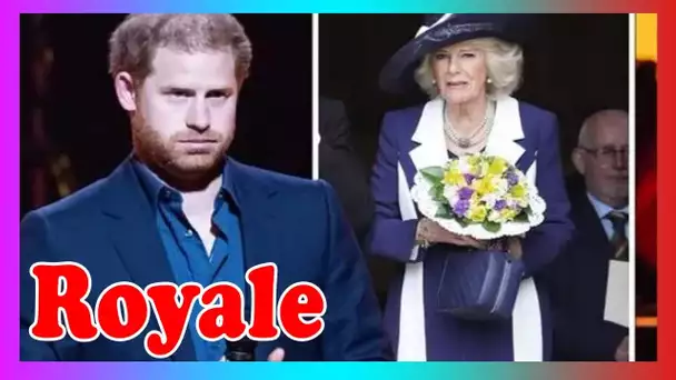 Harry 'refuse de se plier' au cour0nnement de Charles alors qu'il émet une 'ligne rouge' sur Camilla