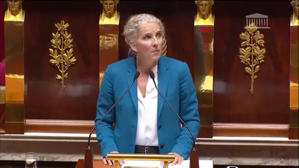 Retour en France de néonicotinoïdes : Delphine Batho saisit le conseil constitutionnel