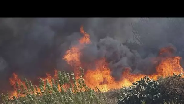 La Sicile face aux flammes