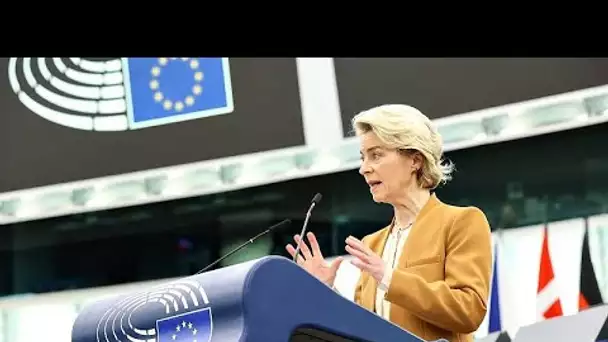 Ursula der Leyen annonce le retrait du texte sur les pesticides