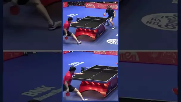 Le point de fou entre Alexis Lebrun et Fan Zhendong