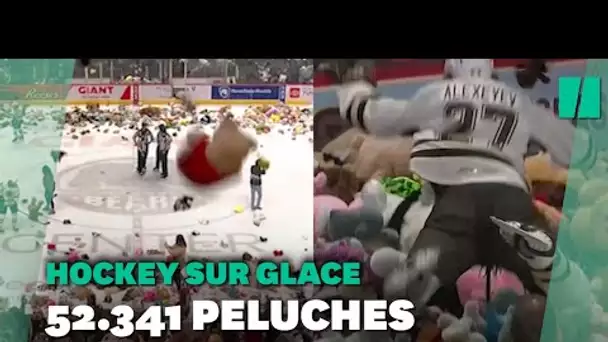 États-Unis: le record de lancer de peluches battu lors de ce match de hockey