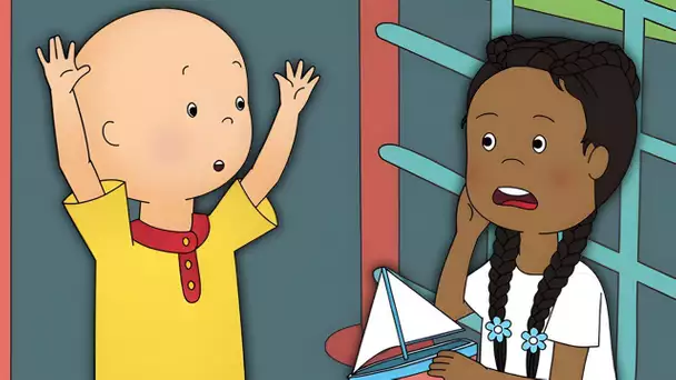 Caillou a une histoire à raconter | Caillou en Français | WildBrain Enfants