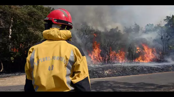 Feux de forêt : les pompiers rappellent les gestes "à éviter" qui représentent un "danger important"