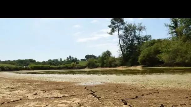 France : 2022 a été l'année la plus chaude jamais enregistrée