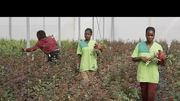 Voices of Angola : des femmes de tête pour des business florissants