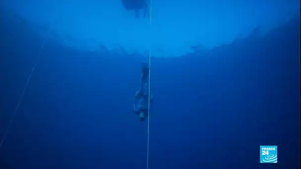 Record du monde d'apnée : le Français Arnaud Jerald descend à 112 mètres