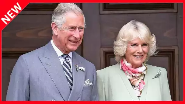 ✅  15 ans de mariage de Charles et Camilla : leur subterfuge pour communiquer dans le dos de Diana