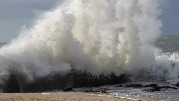 Tempête Ciaran : des vents jusqu'à 170 km/h, des pluies modérées... Ce qui est attendu jeudi