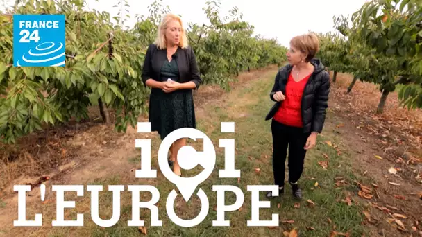 ICI L'EUROPE France-Allemagne : Agriculture post-Covid plus verte ?