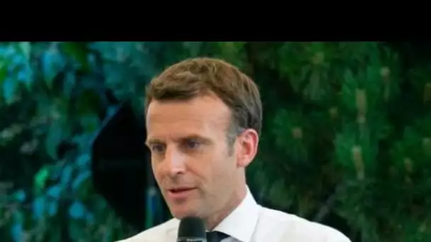 Emmanuel Macron giflé : un ami de l'agresseur révèle pourquoi il a craqué face au...