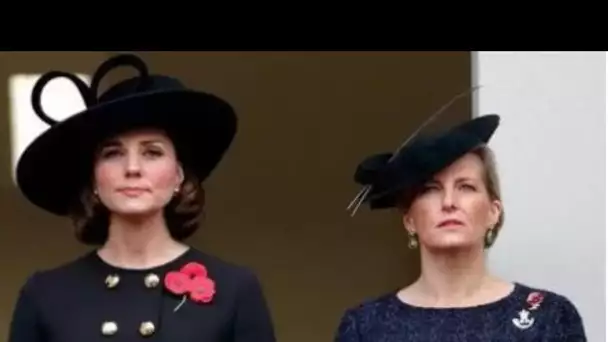 Famille royale: Sophie arrache la couronne de "princesse des enfants" à Kate lors de sa dernière sor