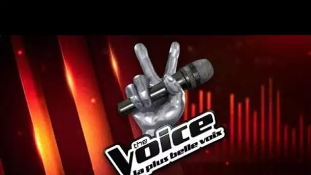 "À The Voice, on m'a dit 'Ça serait bien que tu perdes un peu de poids'" : un...