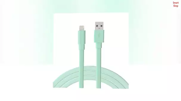 TALK WORKS Flat Lightning Charging Cable Compatible w/iPhone 13/Pro/Pro Max, 14/Plus/Pro/Pro Max, 12