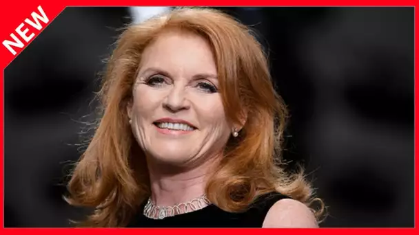 ✅  Sarah Ferguson vengée : ce Noël en famille qu'elle attendait depuis 24 ans !