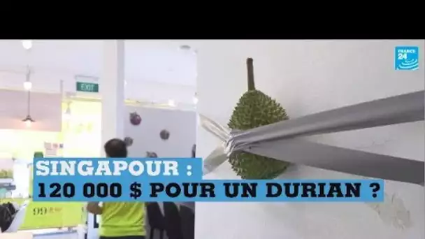 Singapour : 120 000 dollars pour un Durian scotché au mur ?